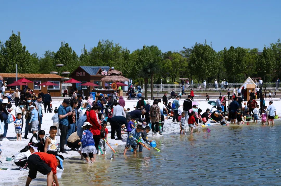 56.78万人次！1.66亿元！一个字：赚！两个字：火爆！三个字：还想来！