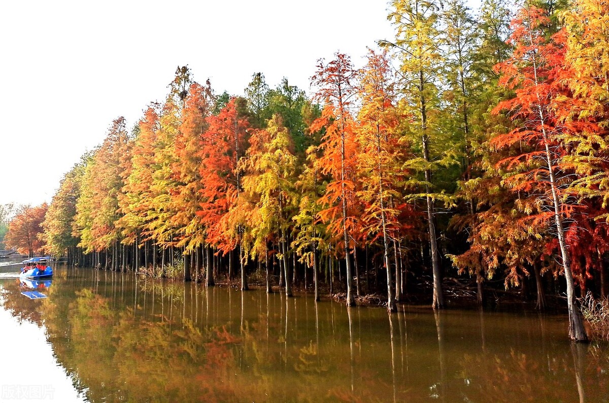 上海游玩免费景点推荐,上海推荐逛的免费景点