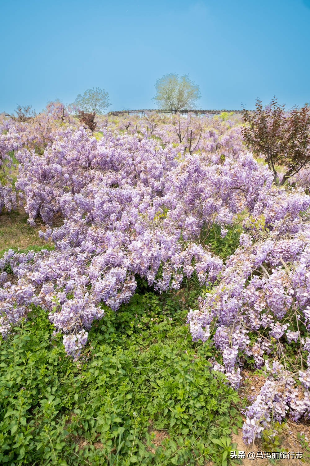 宿州到底有多好耍,宿州世外桃源好去处