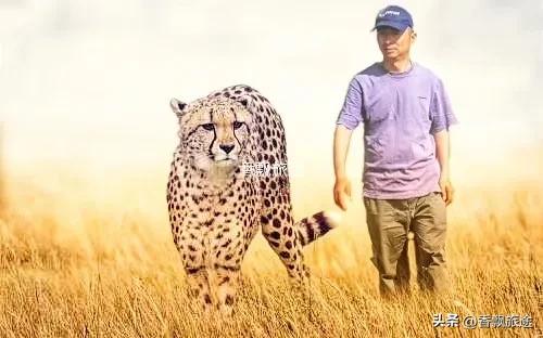 新疆伊犁州江布拉克,新疆奇台江布拉克