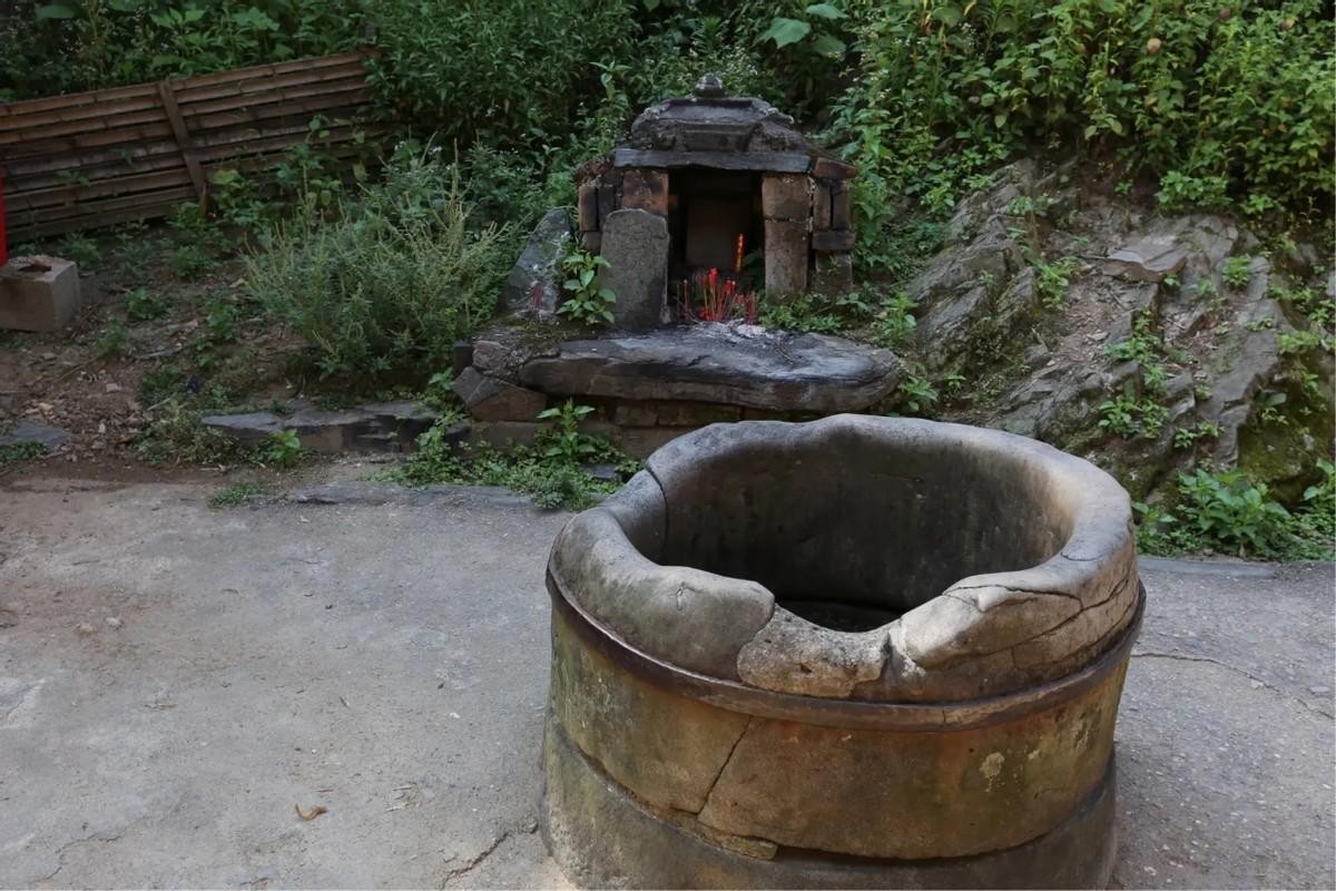 民间老话门前不栽树,屋前不栽竹屋后不栽树是什么意思