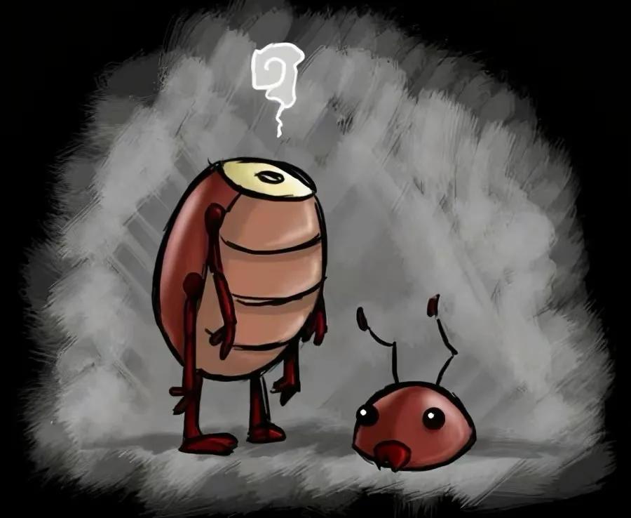 千万不要用脚踩蟑螂电影,不要用脚踩死蟑螂