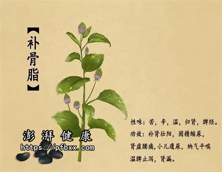 腿上有湿疹痒痒的很怎么治,脚小腿湿疹痒痒的吃什么药好