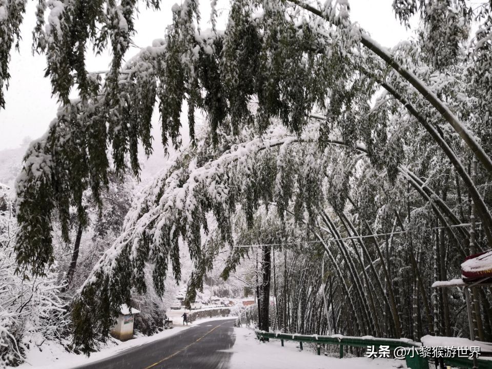 冬季安徽最佳三日游,安徽大别山旅游攻略一日游