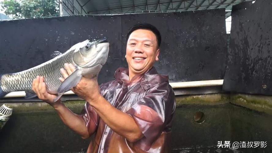 银行副行长辞职赚钱,中国银行副行长辞职