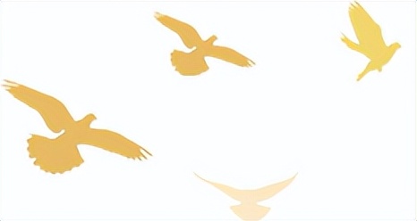 高台县委县政府2022年一号文件,甘肃省高台县地力补贴政策解读