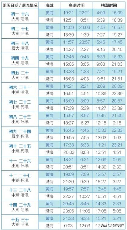 大连最全的赶海攻略,良心推荐大连赶海全攻略