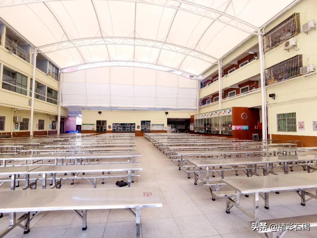 閫夋嫨灏忔槑鏄熸垚灏卞ぇ鏈潵,鐭崇ⅲ鍥涙捣瀛︽牎鍜屾枃鏅栧摢涓ソ