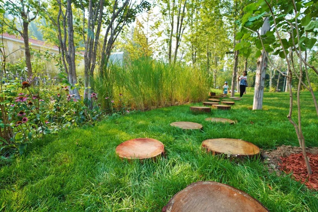 蓝天净土碧水,蓝天碧水净土昆明