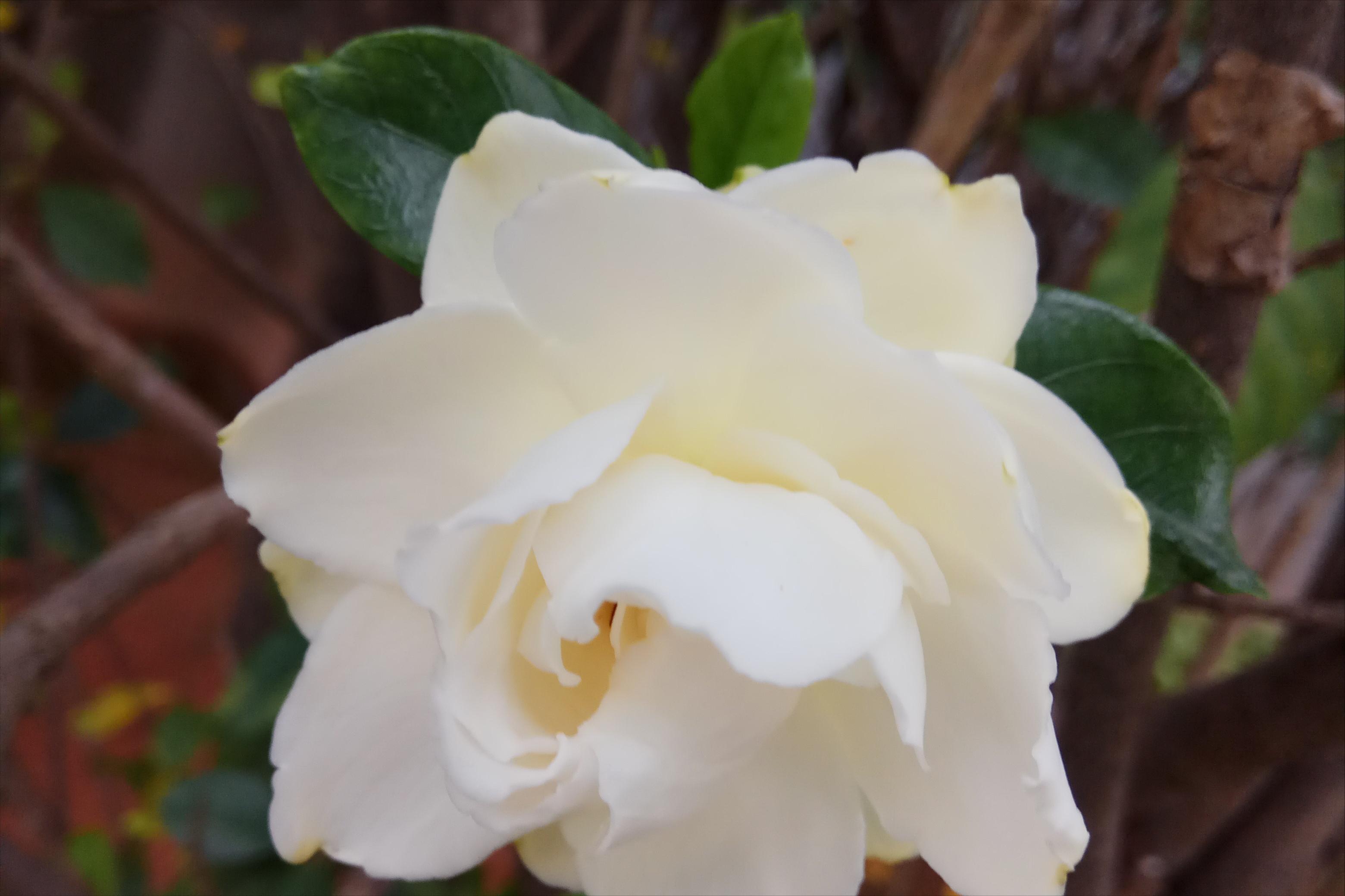 成功特质顶尖人士的51种品质,真正成功的人都有一个共同特质