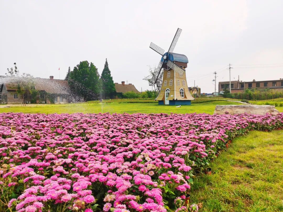 1532攻略,一大两小亲子游旅游攻略