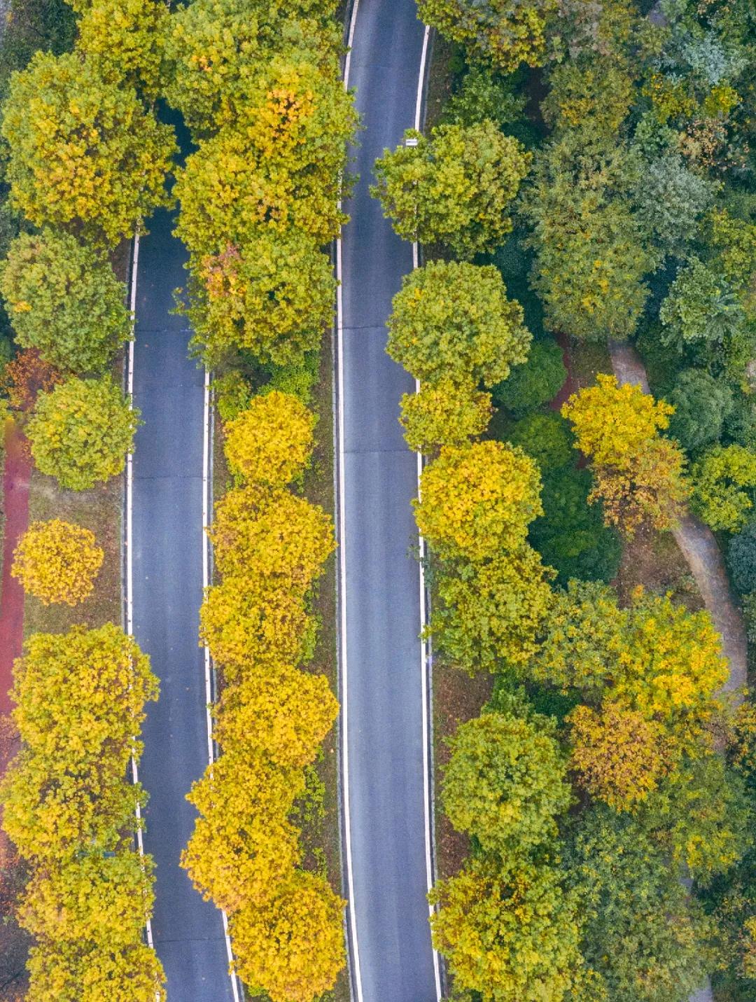 冬日养生泡汤,冬日赏雪泡温泉