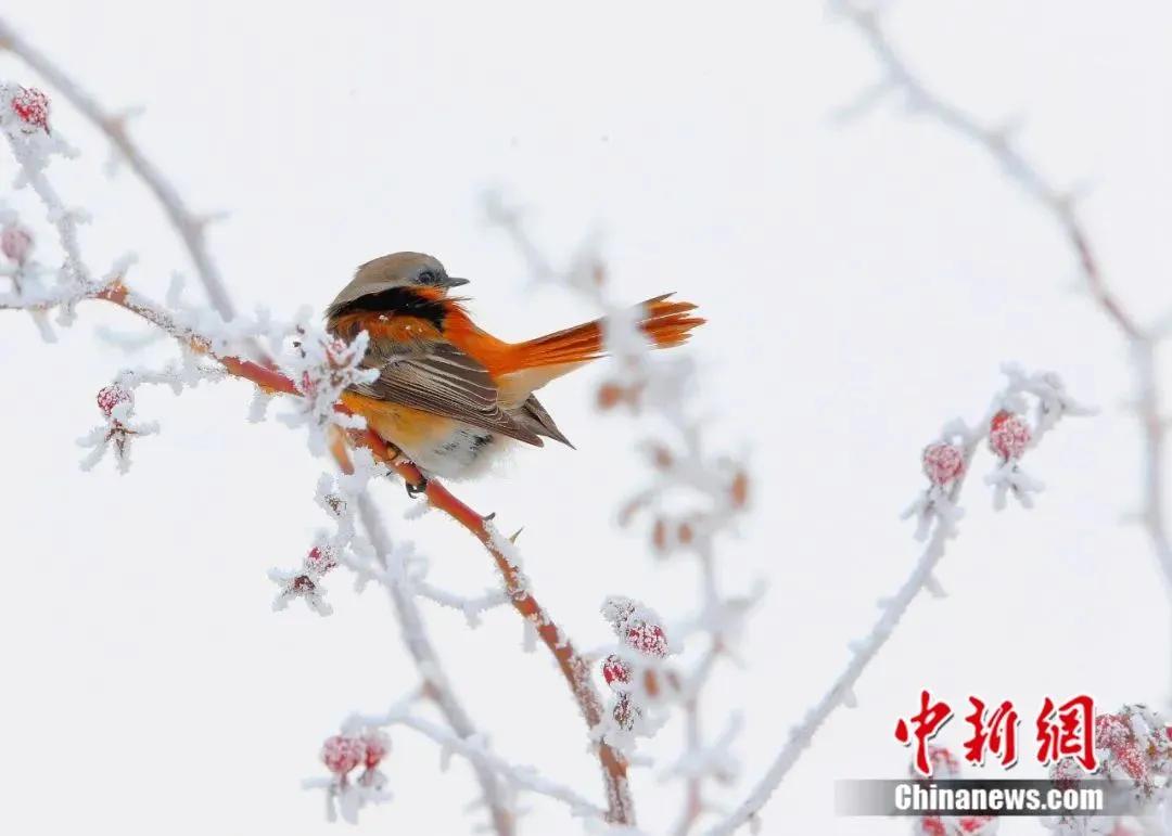 用信用卡维持生活,透支自己的信用卡