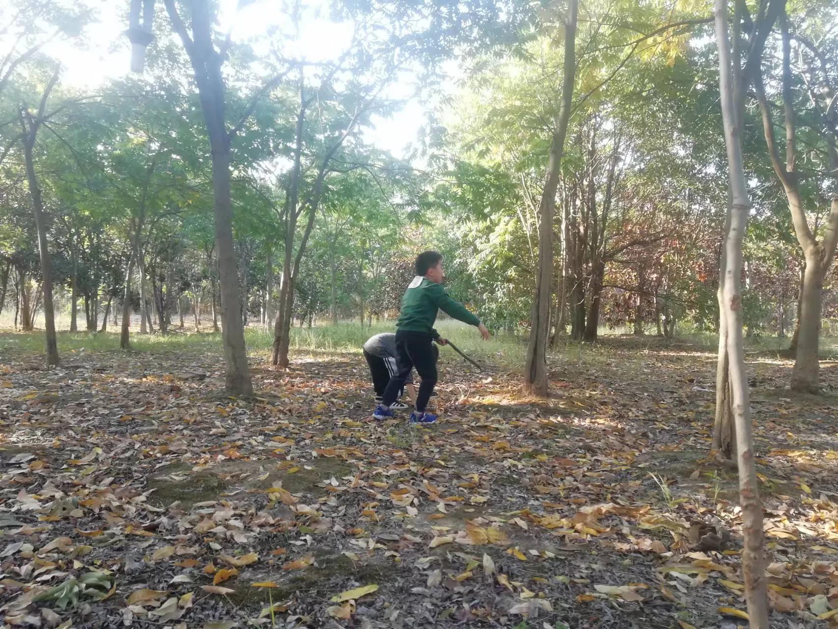 周末探访合肥市蜀山区枫林路