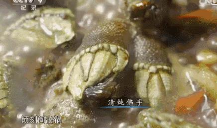 东海最后一处冷门小县城，藏了个海上仙子国，一口小海鲜封神