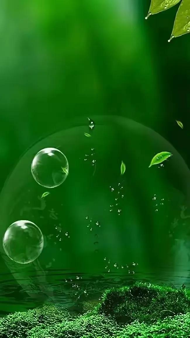 华为壁纸绿色护眼图片大全高清,绿色护眼壁纸高清全屏手机锁屏