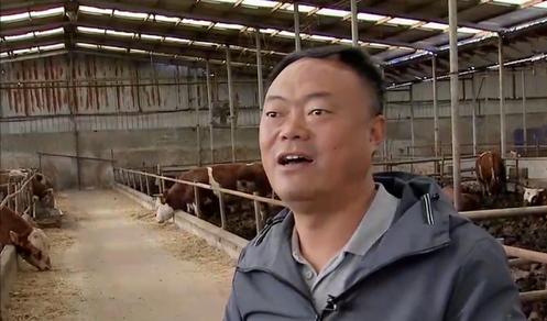 大叔创业亏百万靠帮人省钱逆袭,大叔坚持养殖创业4年