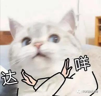 万国觉醒新手装备入门教程,万国觉醒平民金装攻略