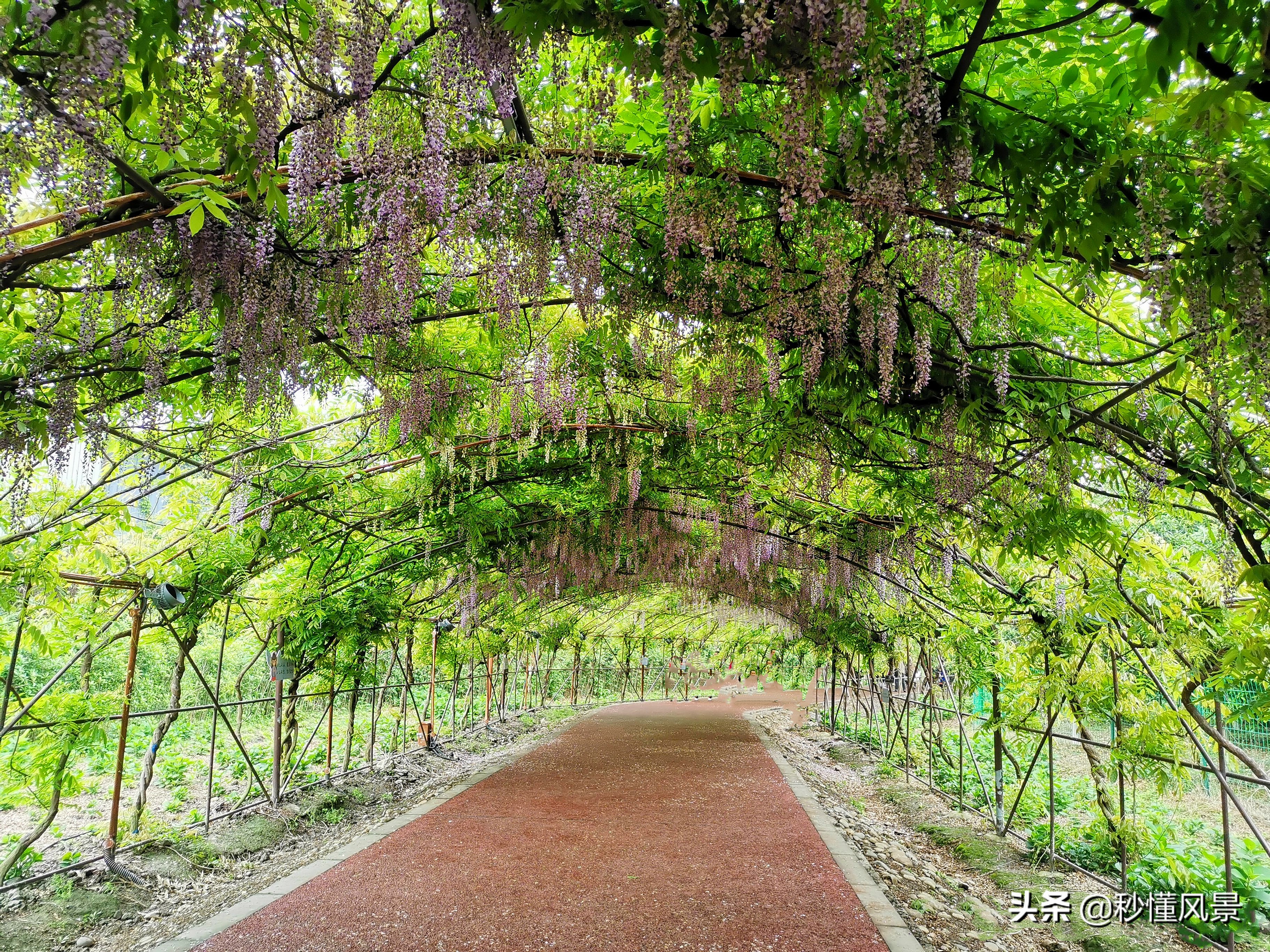 成都又潮又老的打卡胜地,现在成都周边网红景点一日游美景