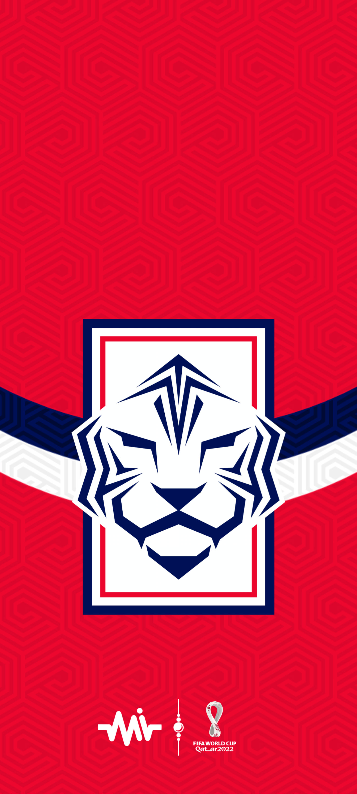 2022卡塔尔世界杯壁纸高清,2022世界杯壁纸