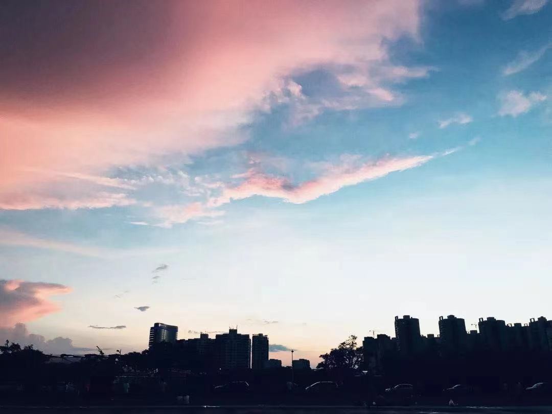 宝藏大学最好的专业,海南大学比较厉害的专业