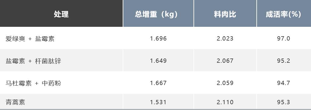 如何防治球虫不再复发,防治球虫药