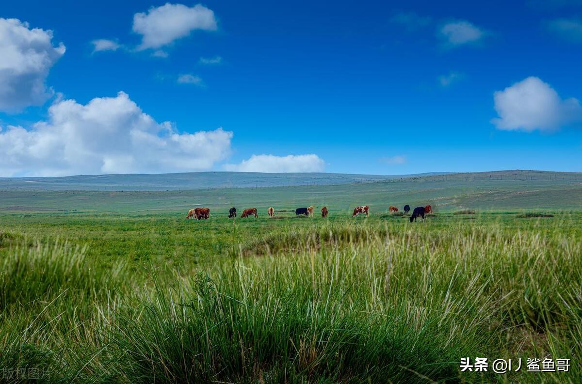 内蒙古包头市最美景点,包头市区旅游攻略必玩的景点