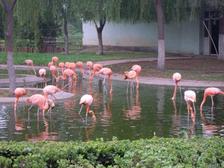 河北出发带孩子自驾游路线推荐,天津河北周边自驾游二日游攻略