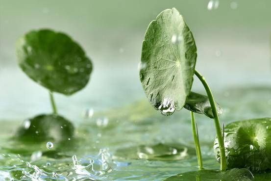 怎么有效的预防妊娠纹生长,怎么做才能有效预防妊娠纹的出现