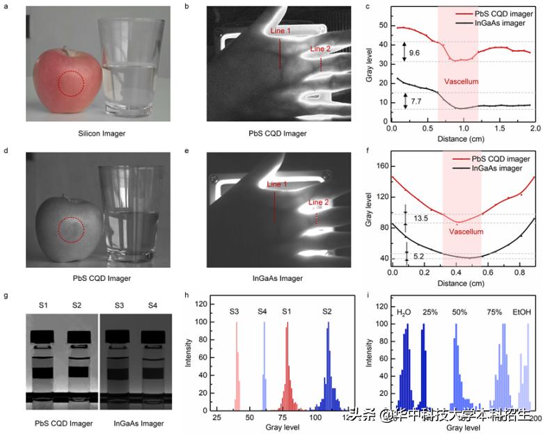 重大突破我国芯片,光电芯片制造获重大突破视频