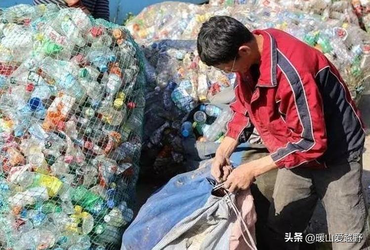 上海有什么不用学历又赚钱的职业,上海什么工作不要学历赚钱多