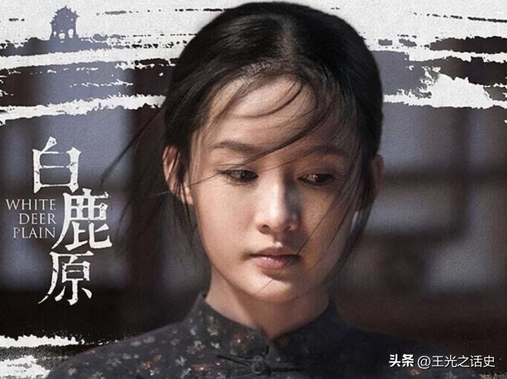 跟我去当一回关中人，不可不读的《白鹿原》