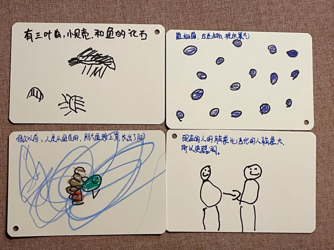 当孩子问你问题怎么回答,孩子问什么都不说怎么沟通