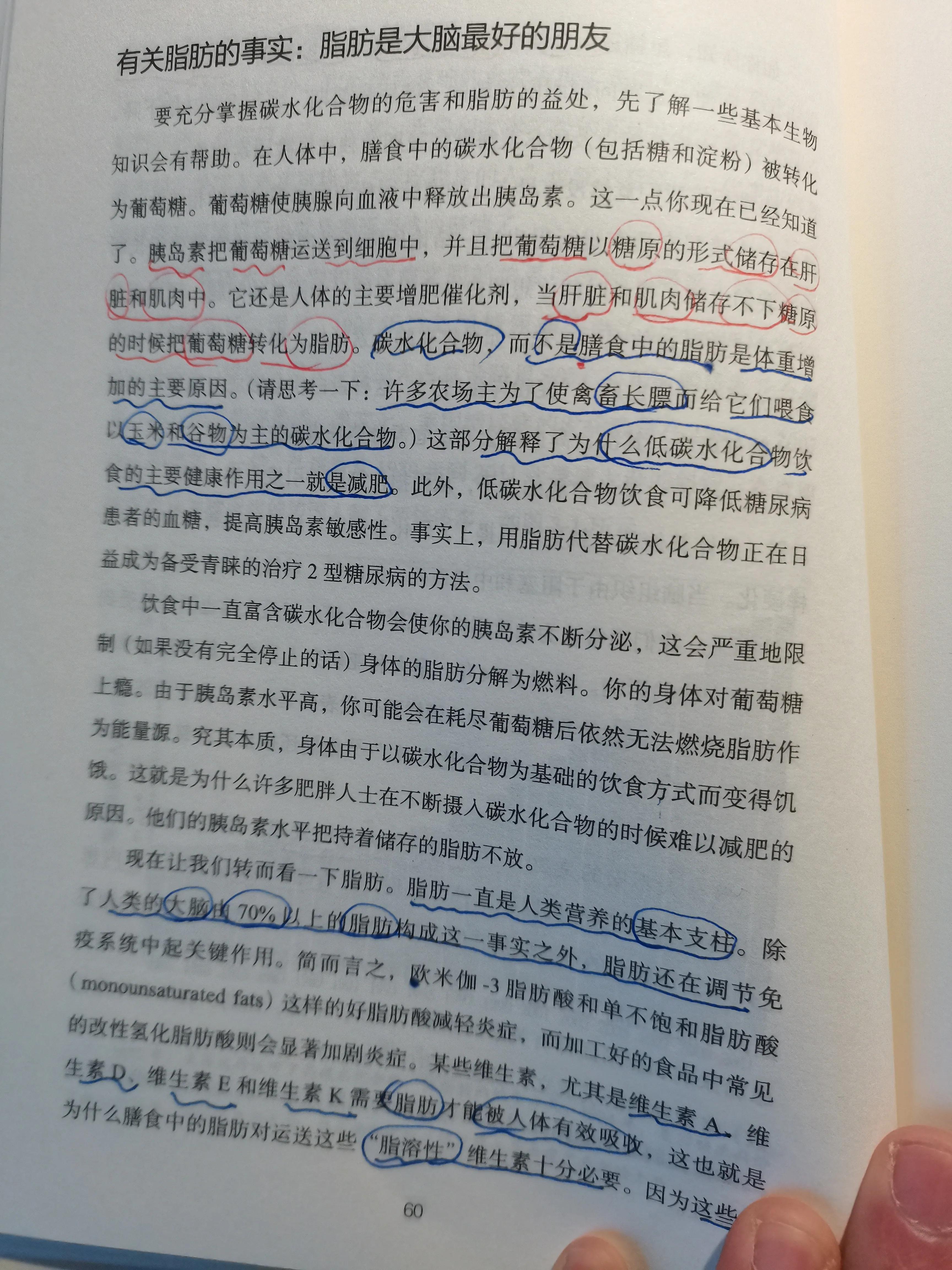 谷物大脑具备权威性吗,谷物大脑有人看过吗