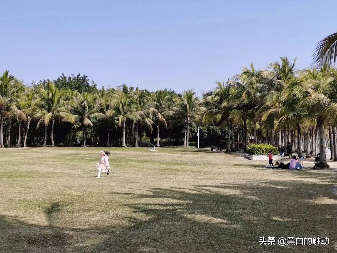 深圳美好创意,深圳创意项目推荐