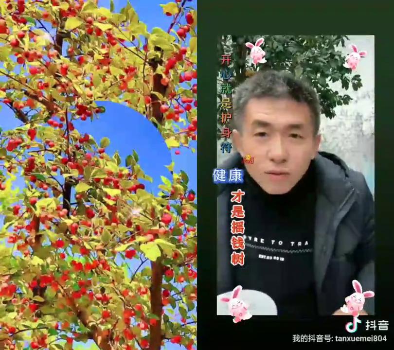 我的两个姨姐，住城里踢了什么？