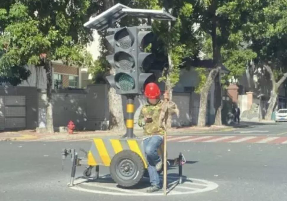 买了一只乌龟有什么预兆,路边800块钱买6只大乌龟