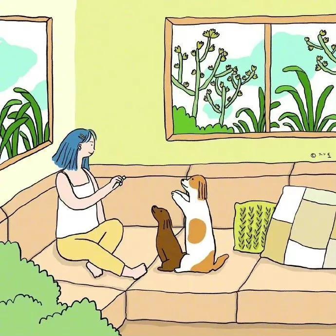 成年人最大的智慧走出自己的偏见,走出偏见才是开启智慧的大门