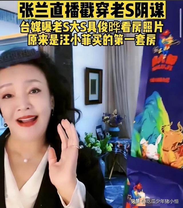 张兰再曝大s猛料具俊晔,张兰大s为何会选择具俊晔