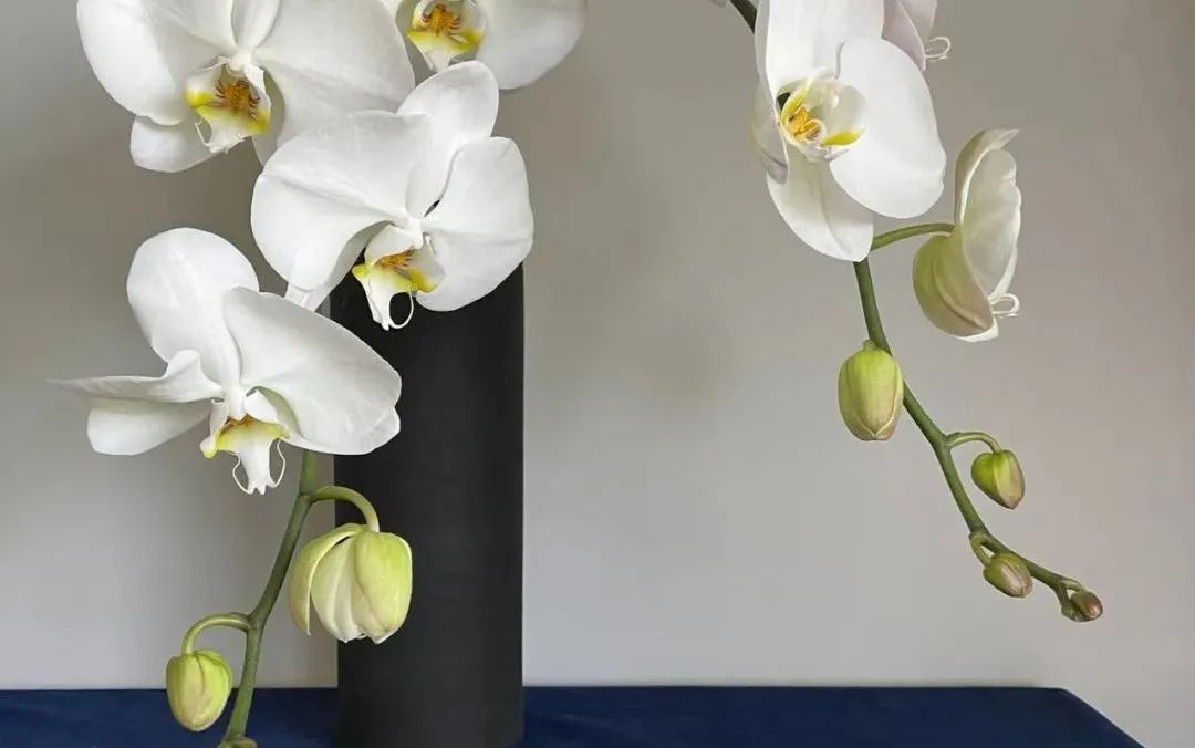 新手必看鲜花养护攻略,鲜花在水里能养几天会死