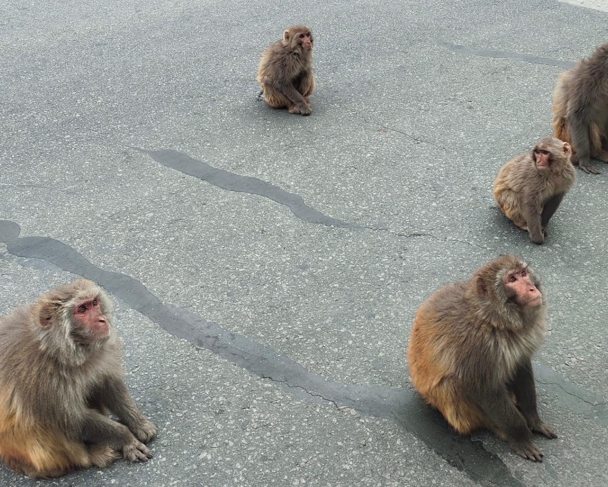 去外省穷游三五天6千块够了吗,云南5天穷游多少钱