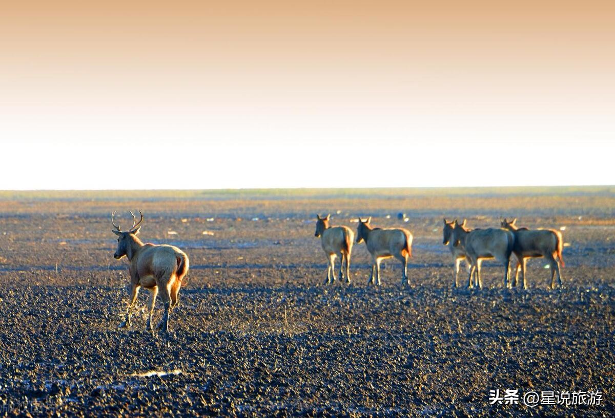 江苏新增8家4a级旅游景区有哪些,2020江苏人气最旺景区是哪里