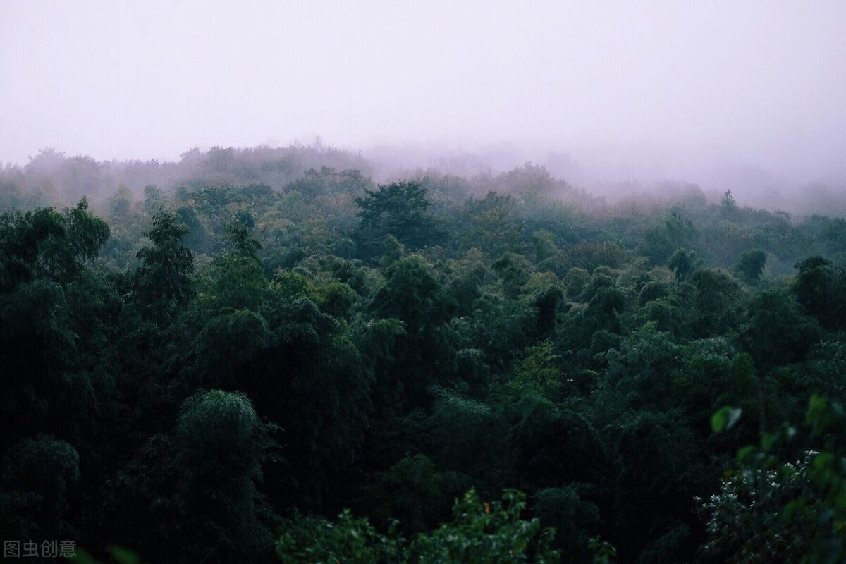 男科补肾养肝小妙招,补肾壮阳先调肾还是肝