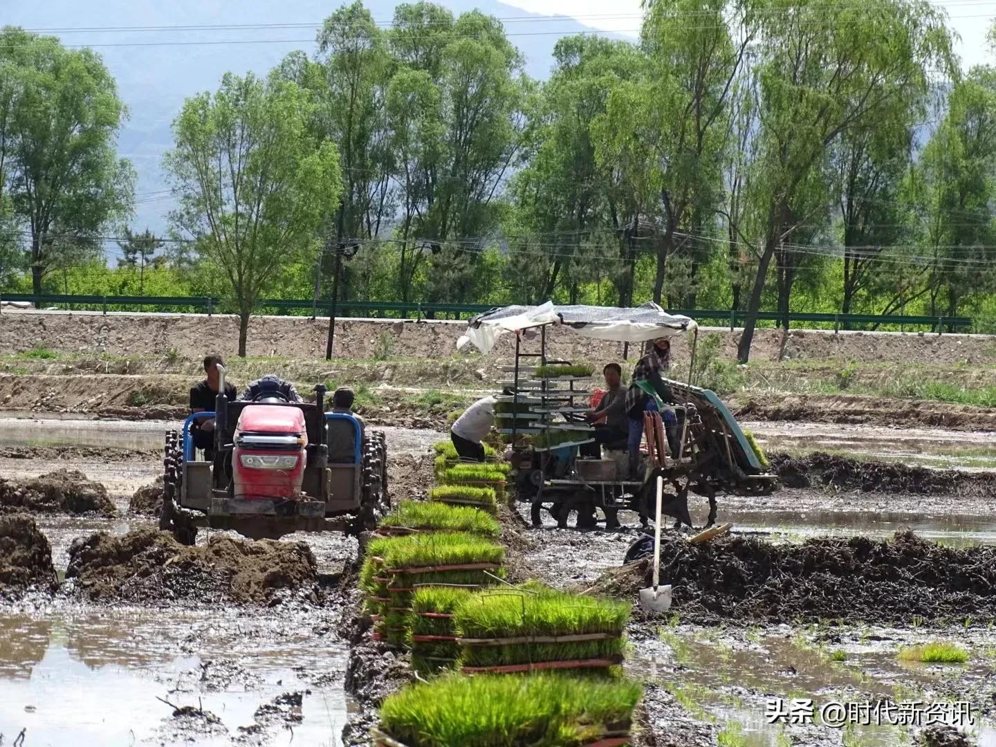 灵丘县东河南镇有机农业助农增收,灵丘县蔡家峪村规划图