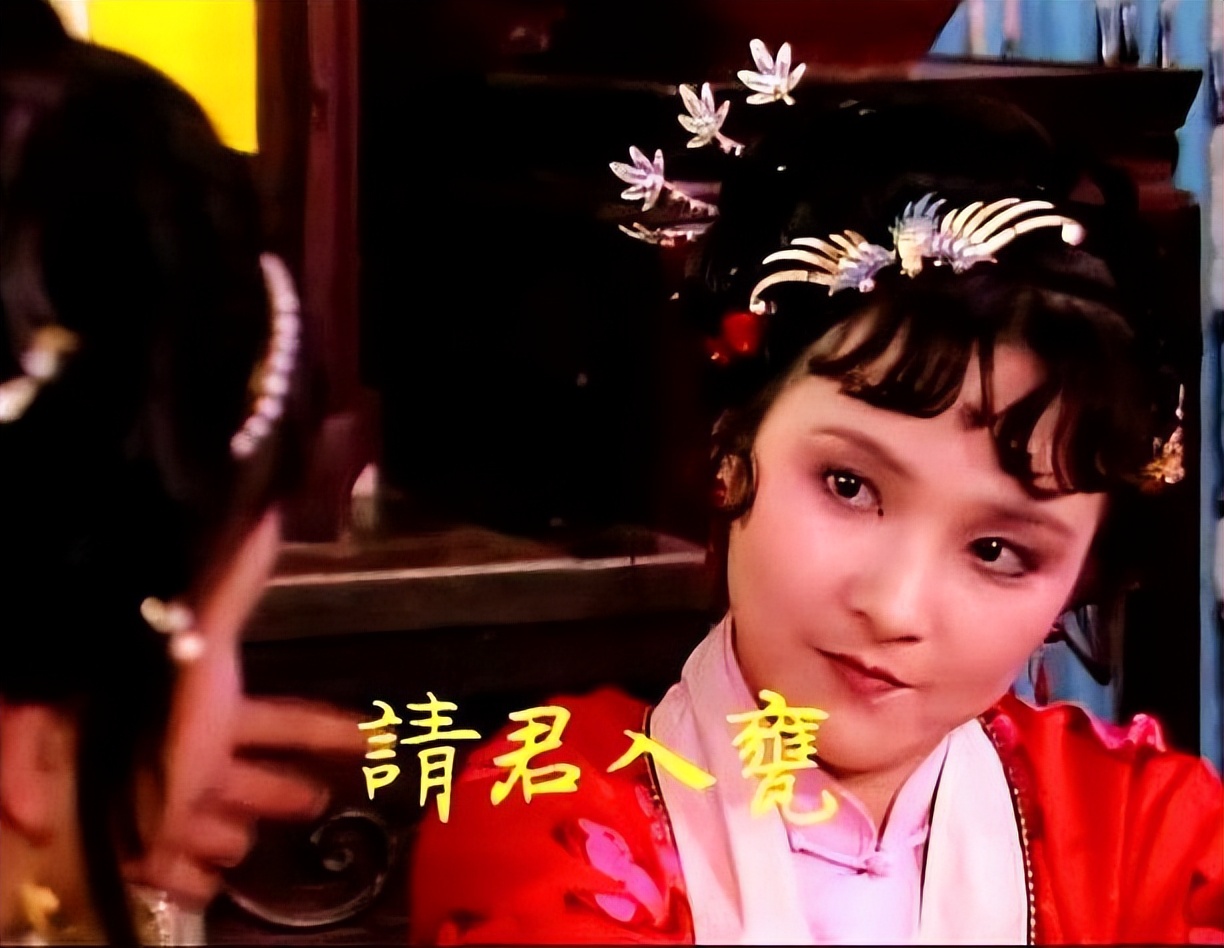 红楼梦两字深度解读,红楼梦有何深层次的解读