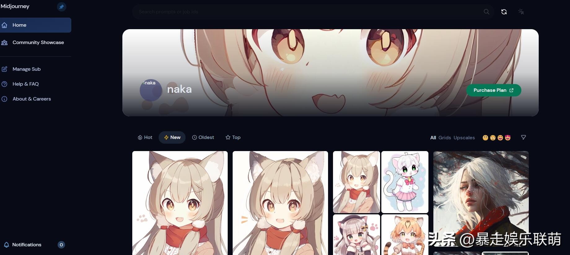 midjourney发布v52测试版本,midjourney怎么切换v4版本