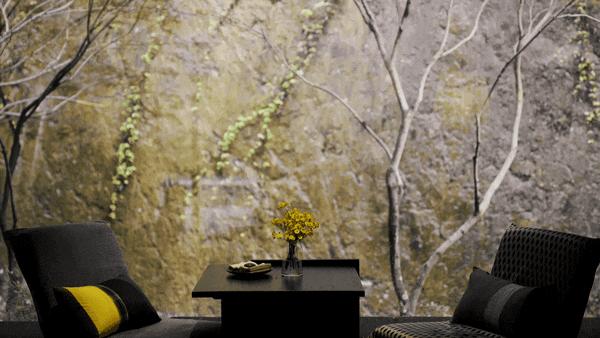 适合夏天避暑的地方民宿,贵阳市包吃住避暑酒店