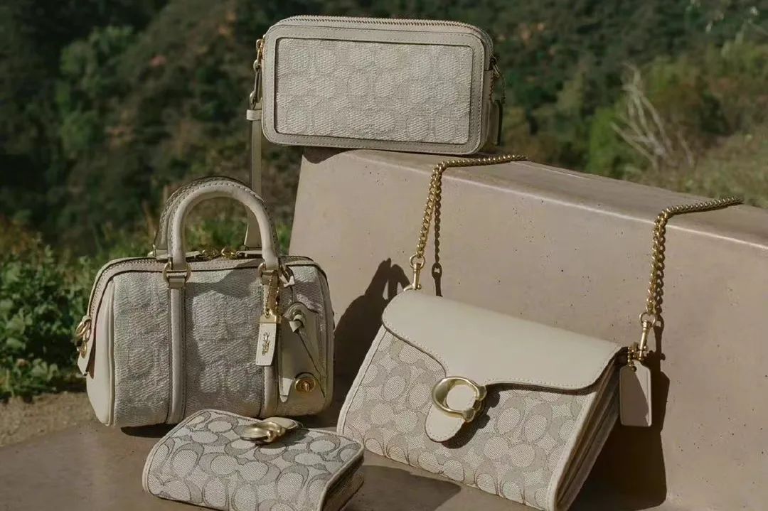 未来一年猛攻三四线城市，只有小镇青年还在背Coach？