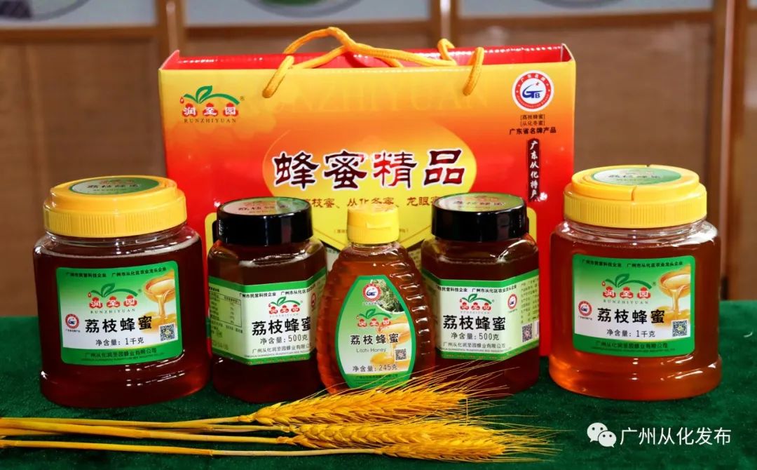 荔枝产业乡村振兴,广州从化电商工匠助荔行动开启