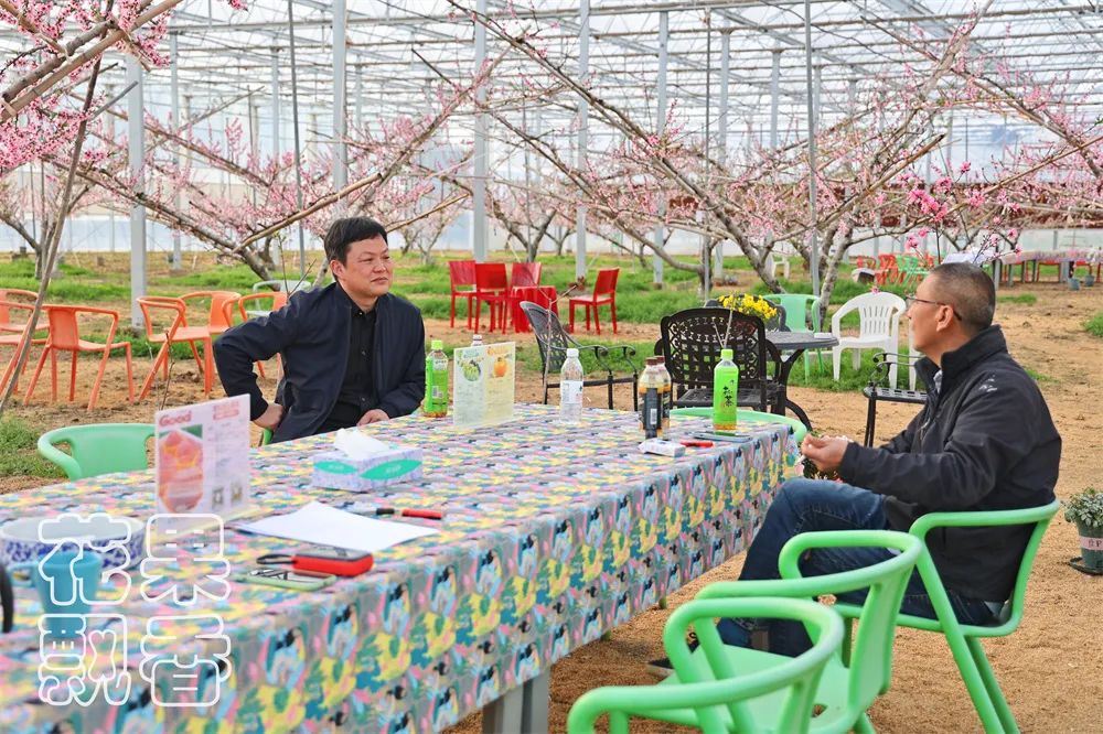 一个葡萄新品种，独家经营，先交3000元一亩的保护费，你干不干？